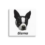 Custom Canvas Boston Terrier Dog Portraits . 18″×18″