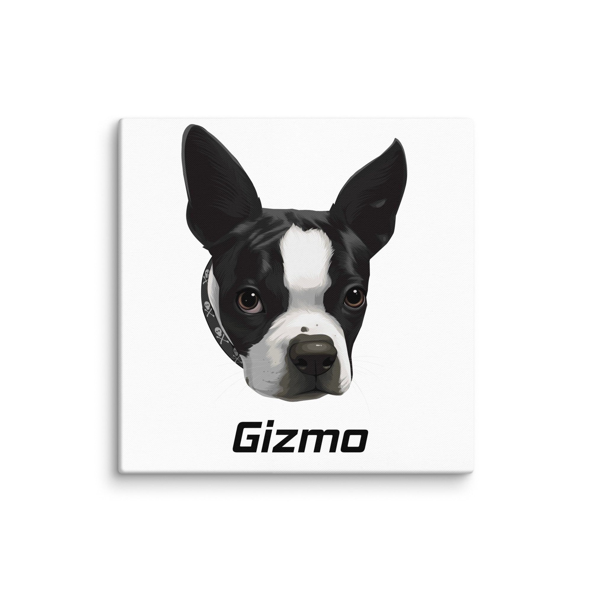 Custom Canvas Boston Terrier Dog Portraits . 18″×18″