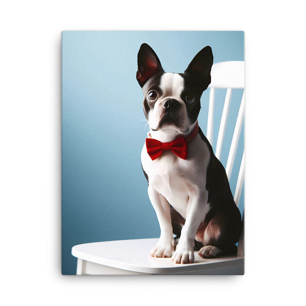 Dapper Boston Terrier in Red Bow Tie Seated on White Chair Canvas