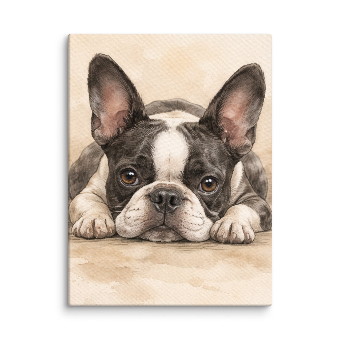 Watercolor Boston Terrier Dog Art Print Canvas . 18″×24″