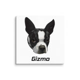 Custom Canvas Boston Terrier Dog Portraits . 20″×20″