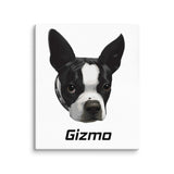 Custom Canvas Boston Terrier Dog Portraits . 20″×24″