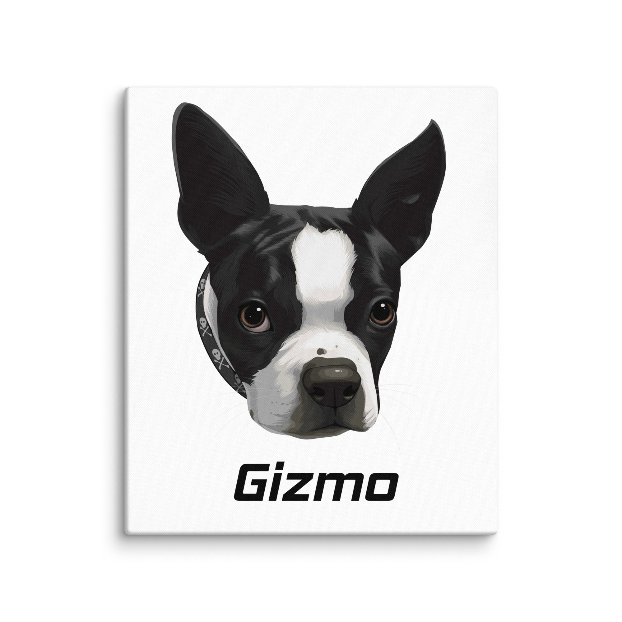 Custom Canvas Boston Terrier Dog Portraits . 20″×24″
