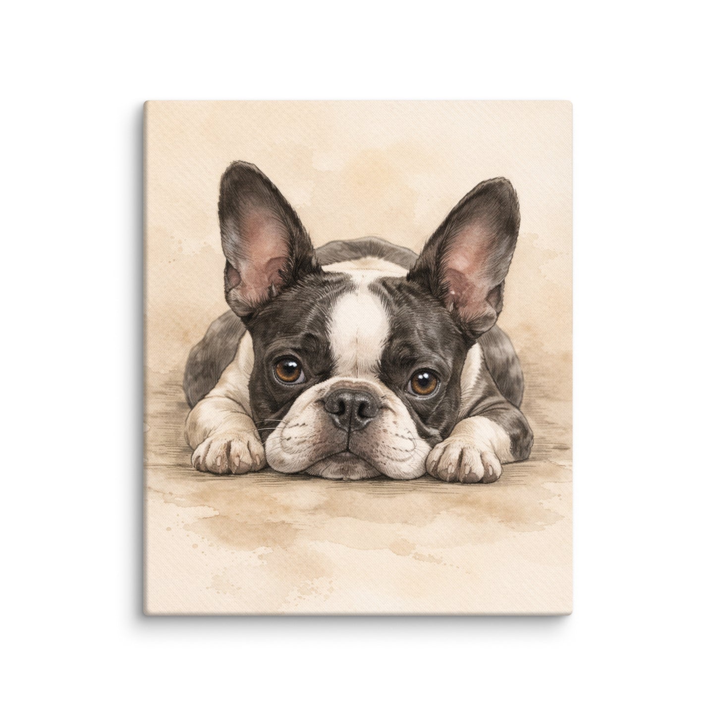 Watercolor Boston Terrier Dog Art Print Canvas . 20″×24″