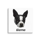 Custom Canvas Boston Terrier Dog Portraits . 24″×24″