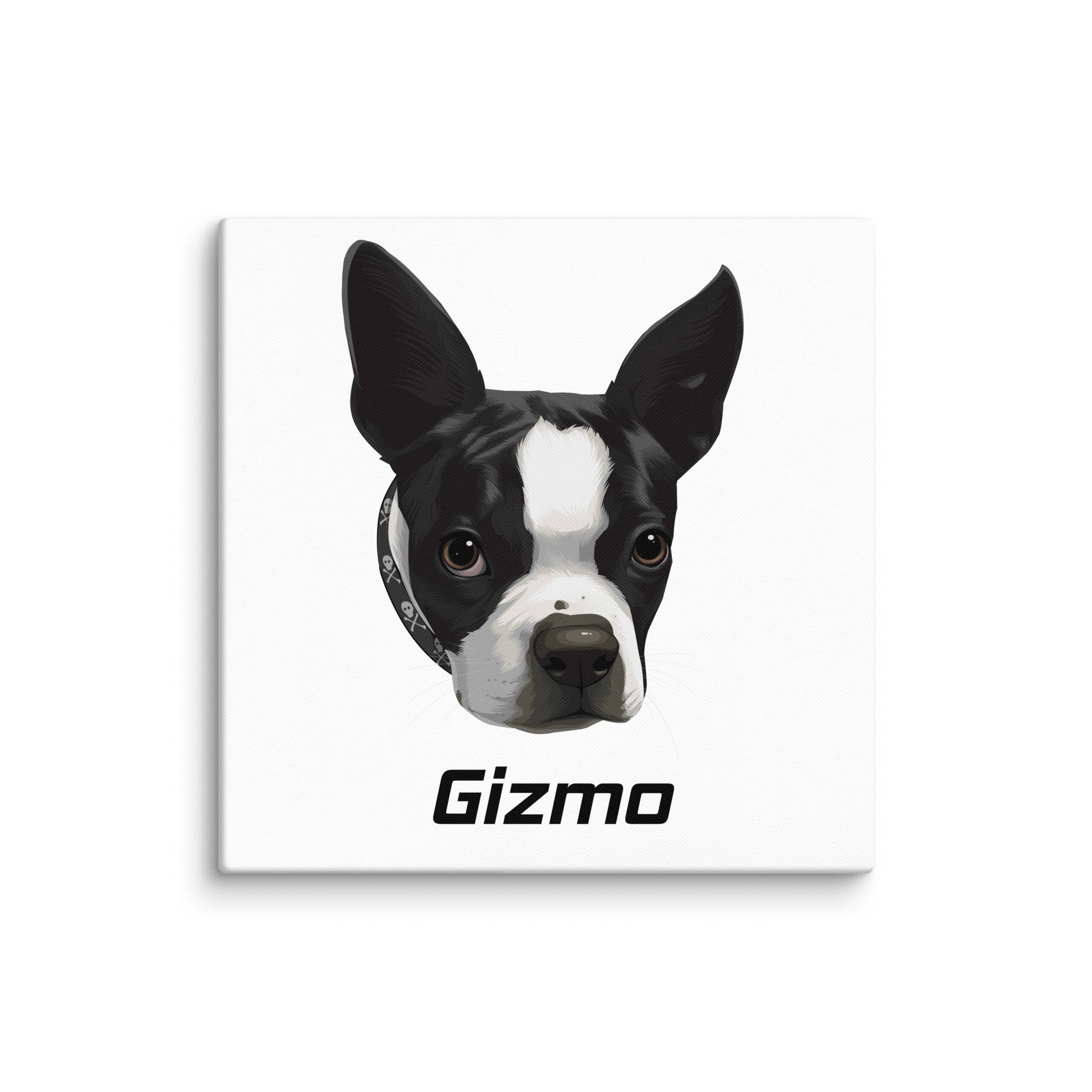 Custom Canvas Boston Terrier Dog Portraits . 24″×24″