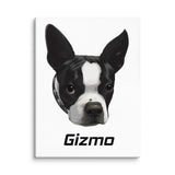 Custom Canvas Boston Terrier Dog Portraits .