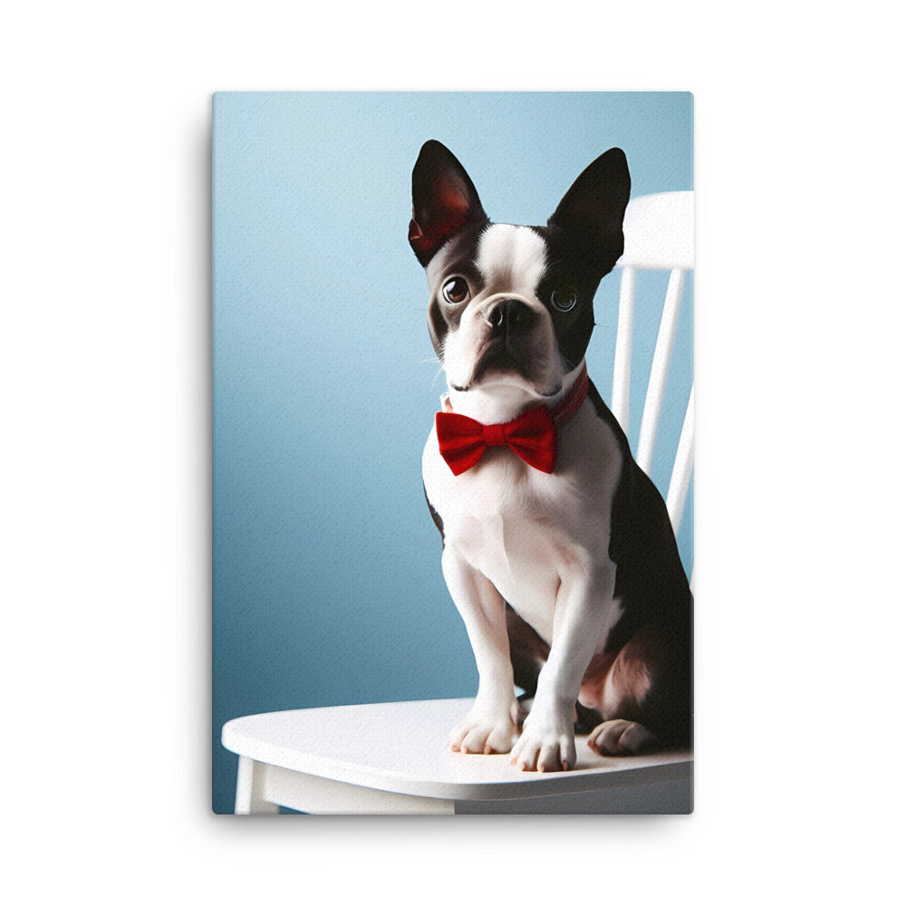 Dapper Boston Terrier in Red Bow Tie Seated on White Chair Canvas