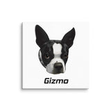 Custom Canvas Boston Terrier Dog Portraits . 26″×26″
