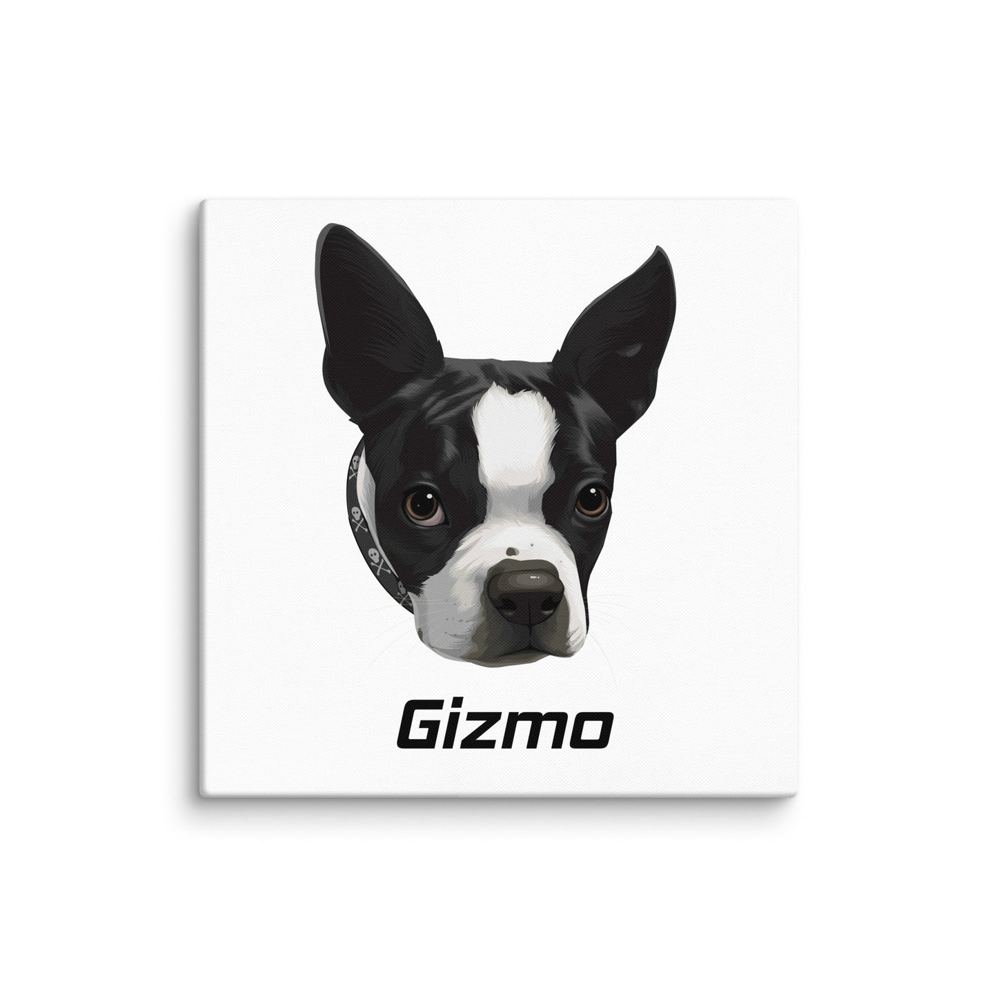 Custom Canvas Boston Terrier Dog Portraits . 28″×28″