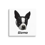 Custom Canvas Boston Terrier Dog Portraits . 30″×30″