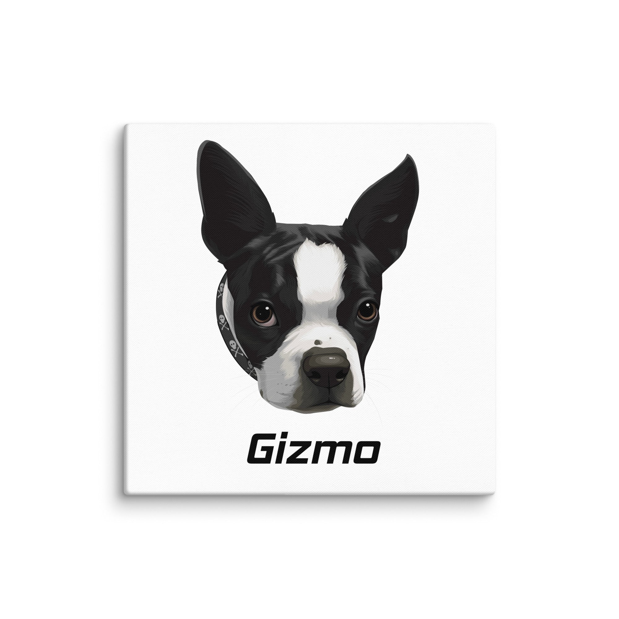 Custom Canvas Boston Terrier Dog Portraits . 30″×30″