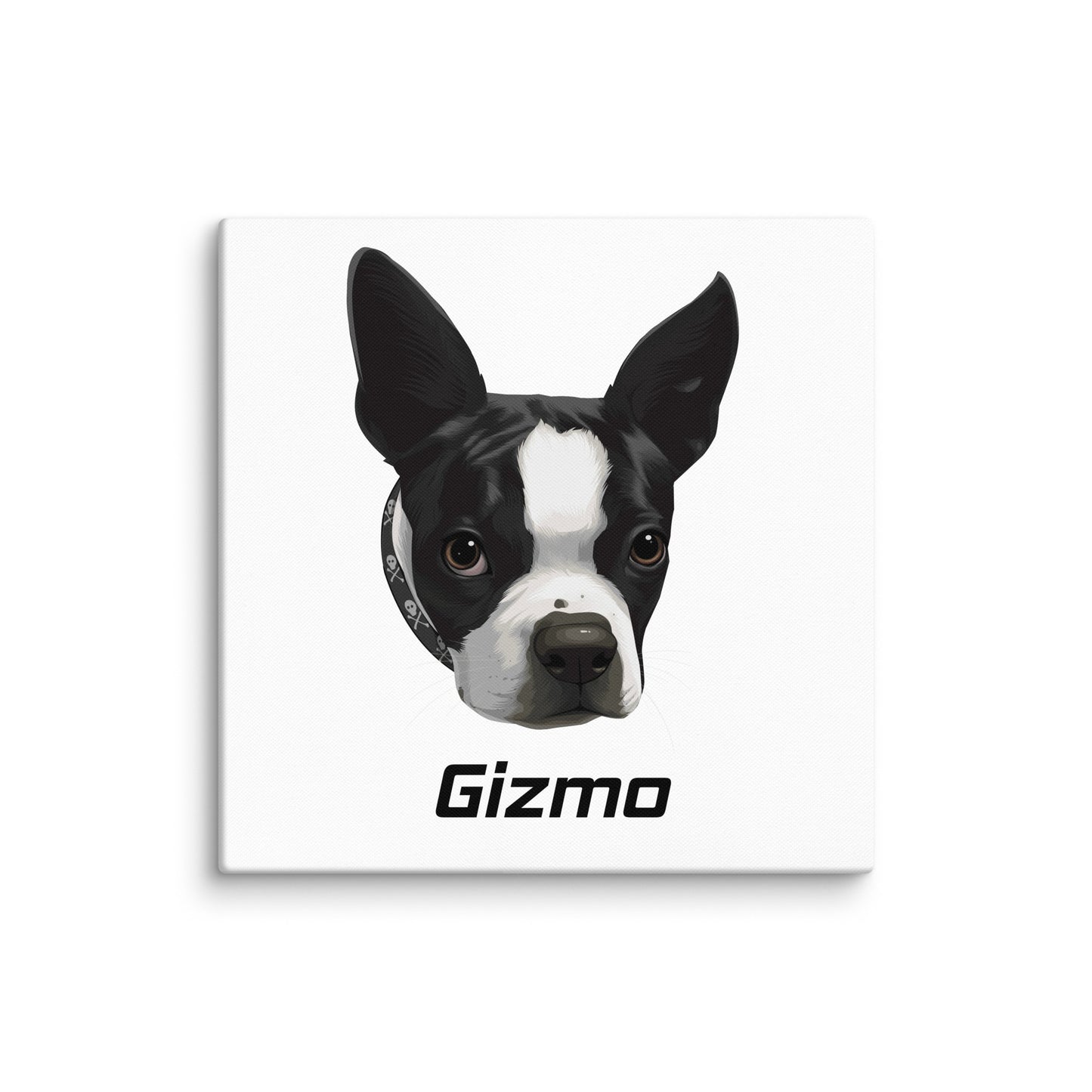 Custom Canvas Boston Terrier Dog Portraits . 32″×32″