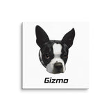 Custom Canvas Boston Terrier Dog Portraits . 32″×32″