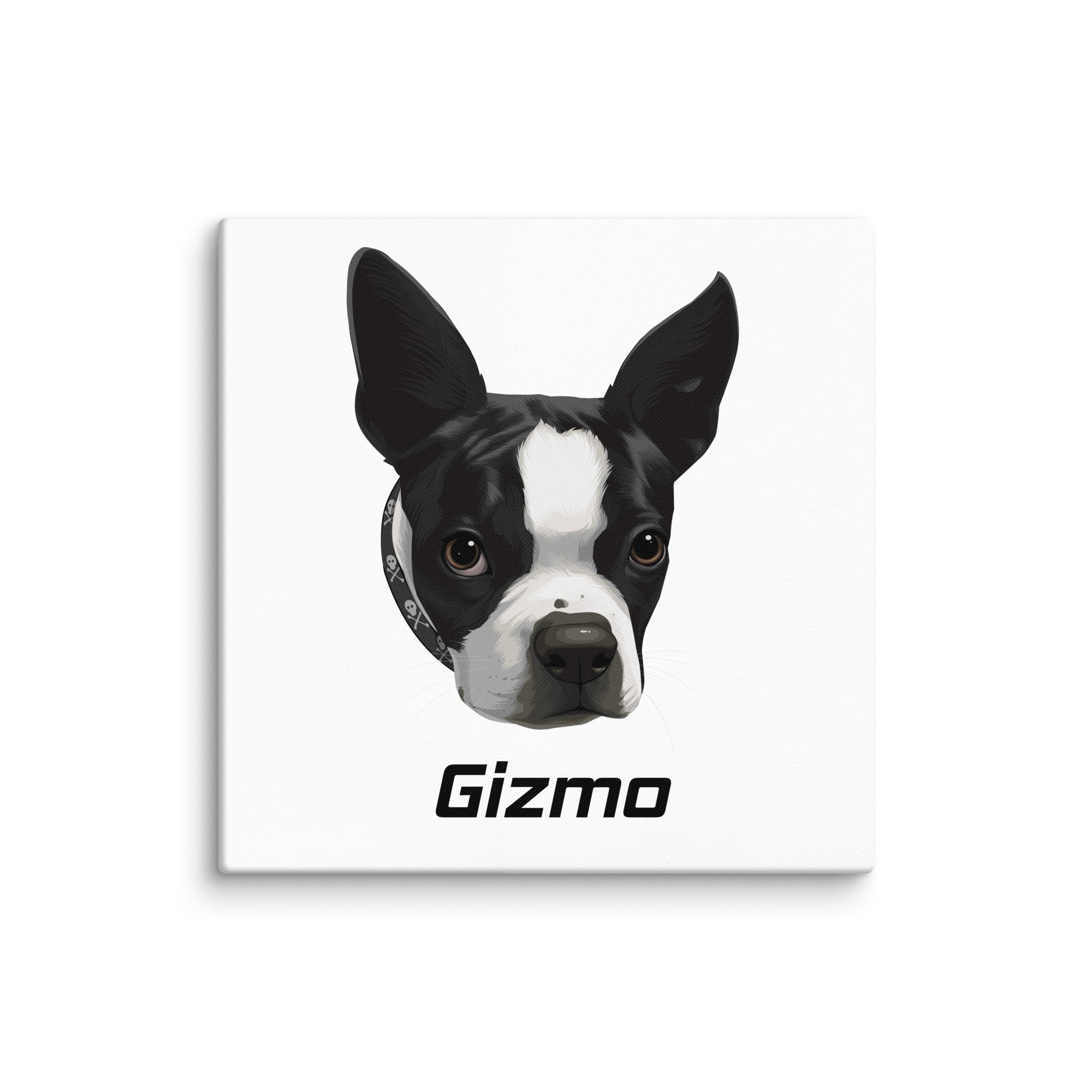 Custom Canvas Boston Terrier Dog Portraits . 32″×32″