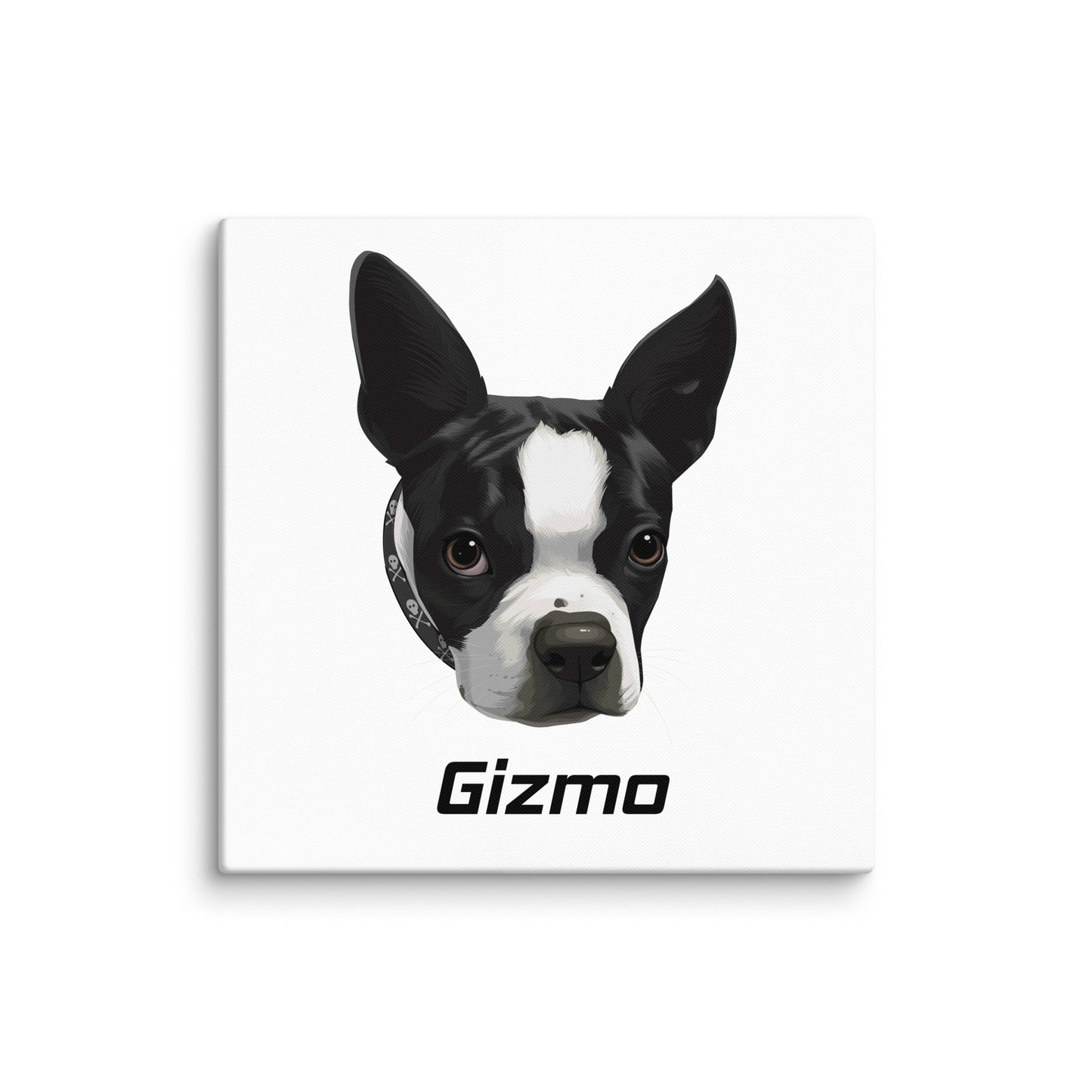 Custom Canvas Boston Terrier Dog Portraits . 36″×36″