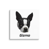 Custom Canvas Boston Terrier Dog Portraits . 36″×36″