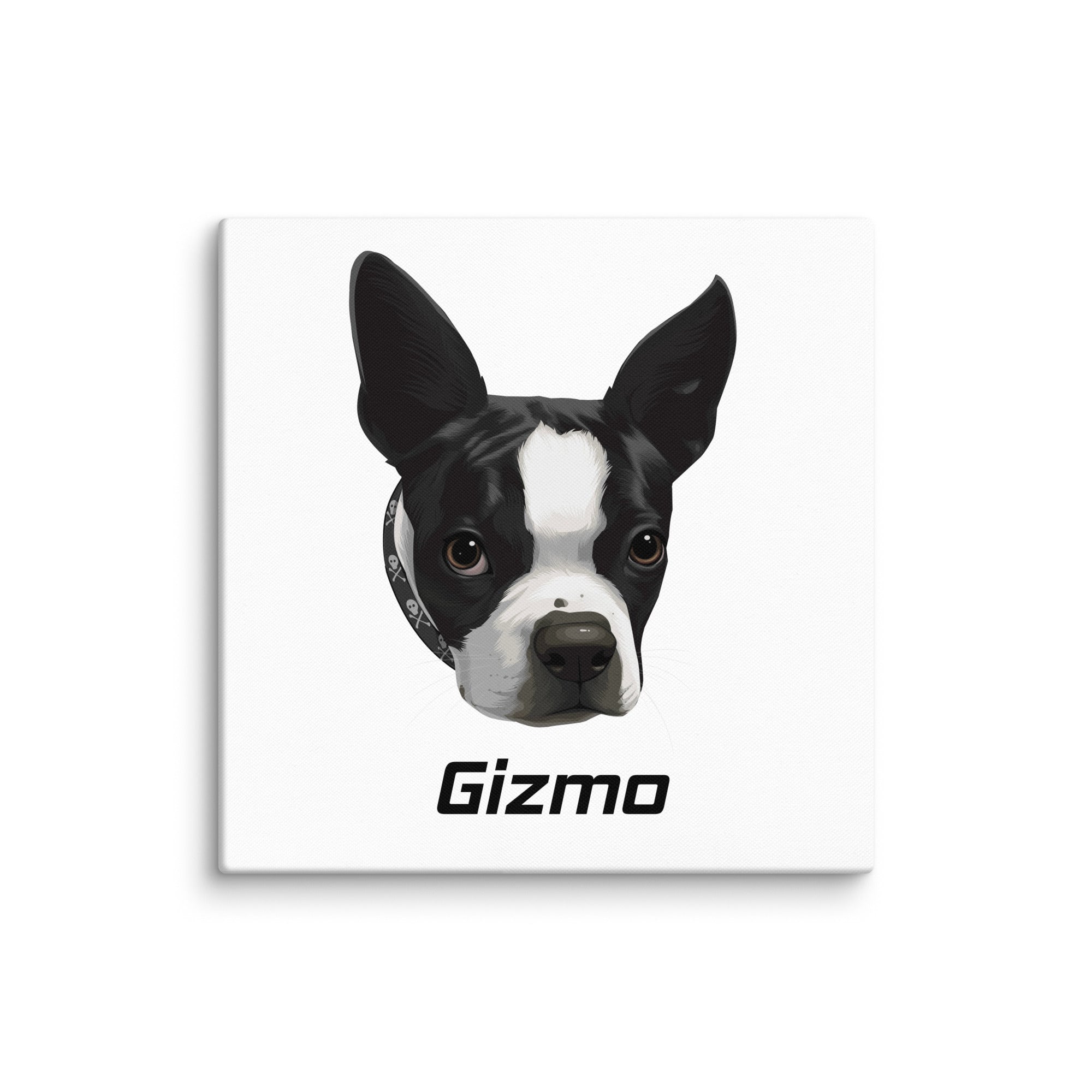 Custom Canvas Boston Terrier Dog Portraits . 36″×36″