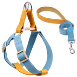 Colored Strap Step-In Dog Harness With Leash Set . Blue Orange