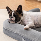 MEWOOFUN Orthopedic Dog Bed For Medium Large Dogs - Egg Foam Sofa With Waterproof Washable Cover, Supportive Pet Bed Grey, 40''x30''