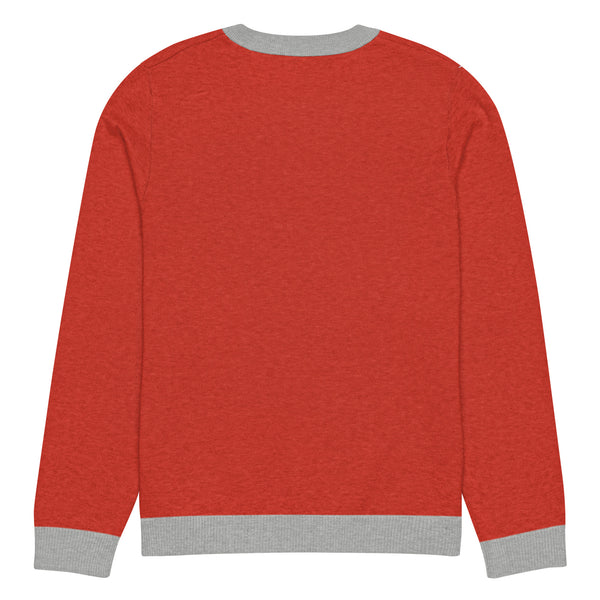 Ugly Christmas Boston Terrier Knitted Crew Neck Sweater - Red and Gray