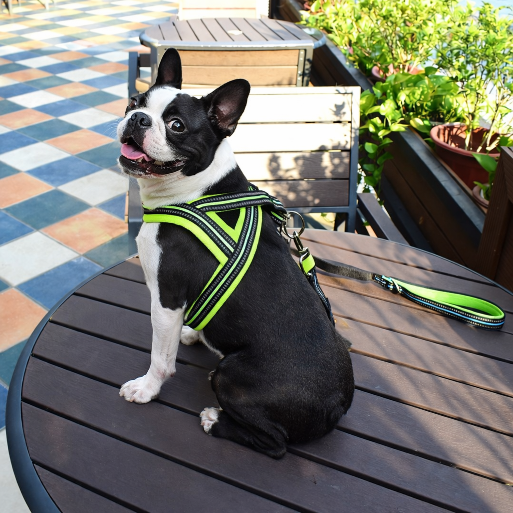 ComfortFit A7 Soft Padded Reflective Strap Dog Harness .