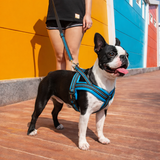 ComfortFit A7 Soft Padded Reflective Strap Dog Harness .