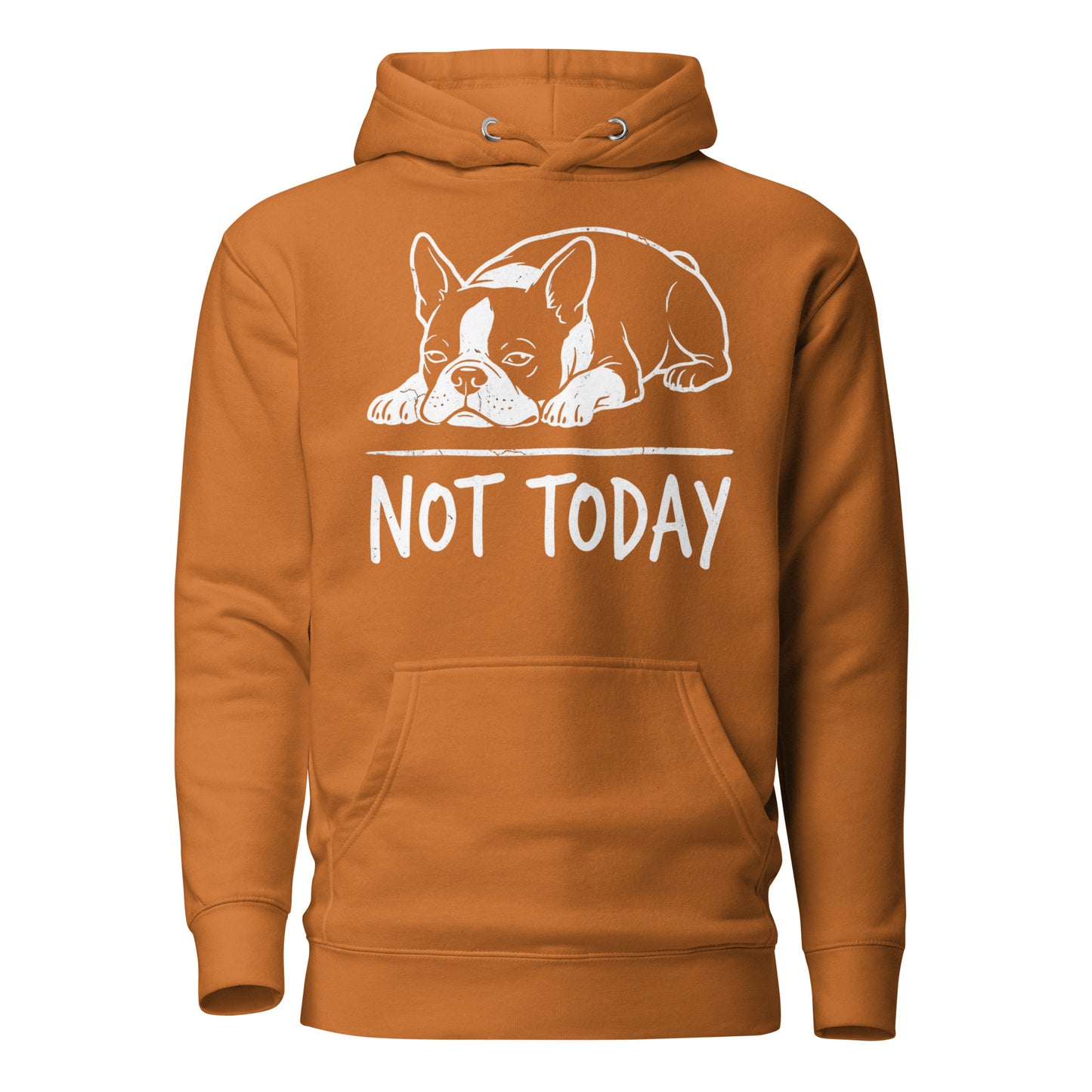 Not Today Lazy Boston Terrier Dog Unisex Hoodie . Adobe
