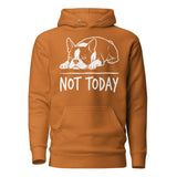 Not Today Lazy Boston Terrier Dog Unisex Hoodie . Adobe