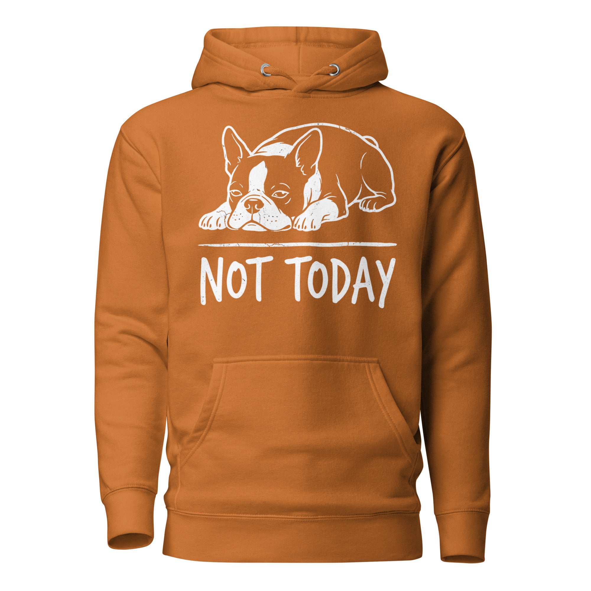 Not Today Lazy Boston Terrier Dog Unisex Hoodie . Adobe