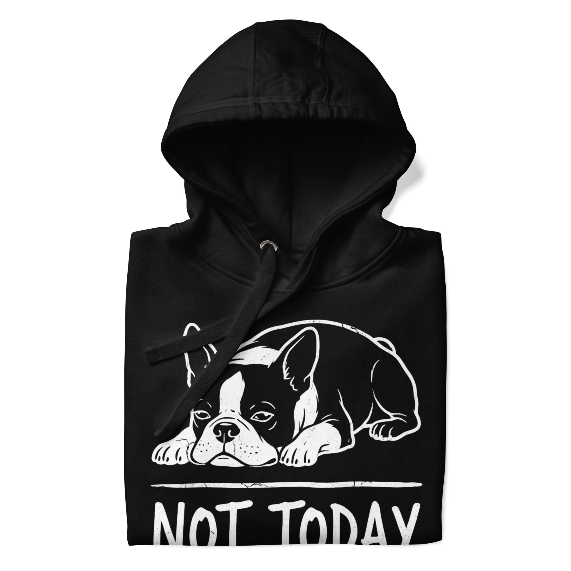 Not Today Lazy Boston Terrier Dog Unisex Hoodie .