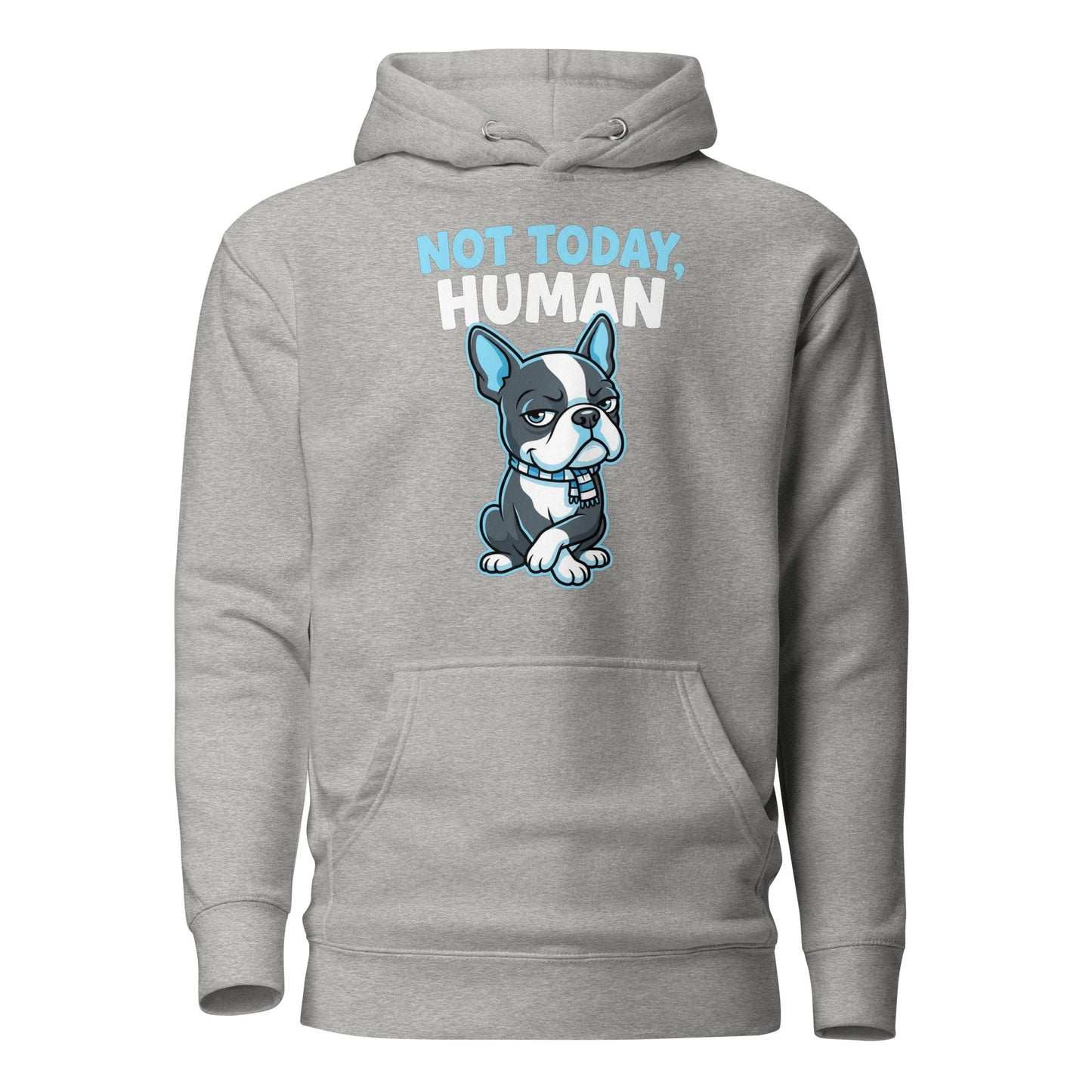 Not Today, Human - Cartoon Boston Terrier Side Eye Unisex Hoodie . Carbon Grey