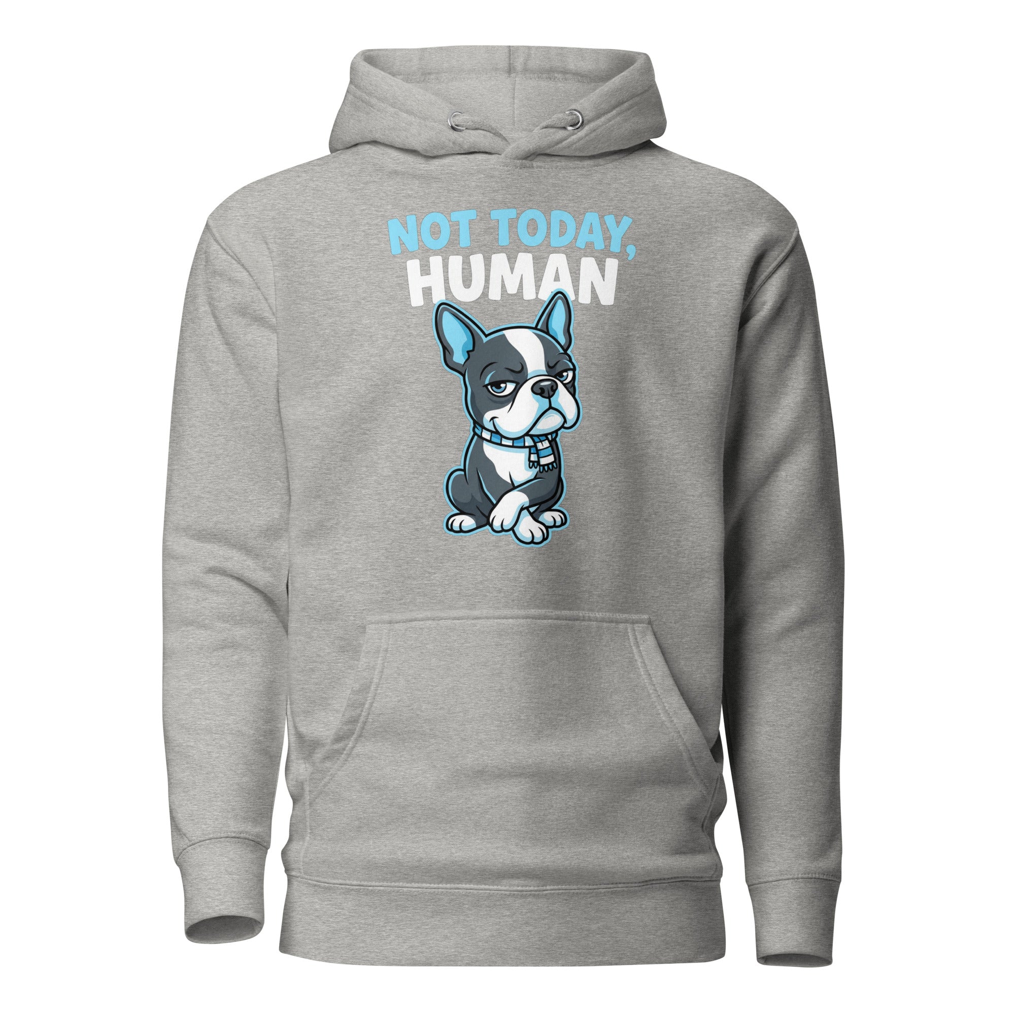 Not Today, Human - Cartoon Boston Terrier Side Eye Unisex Hoodie . Carbon Grey