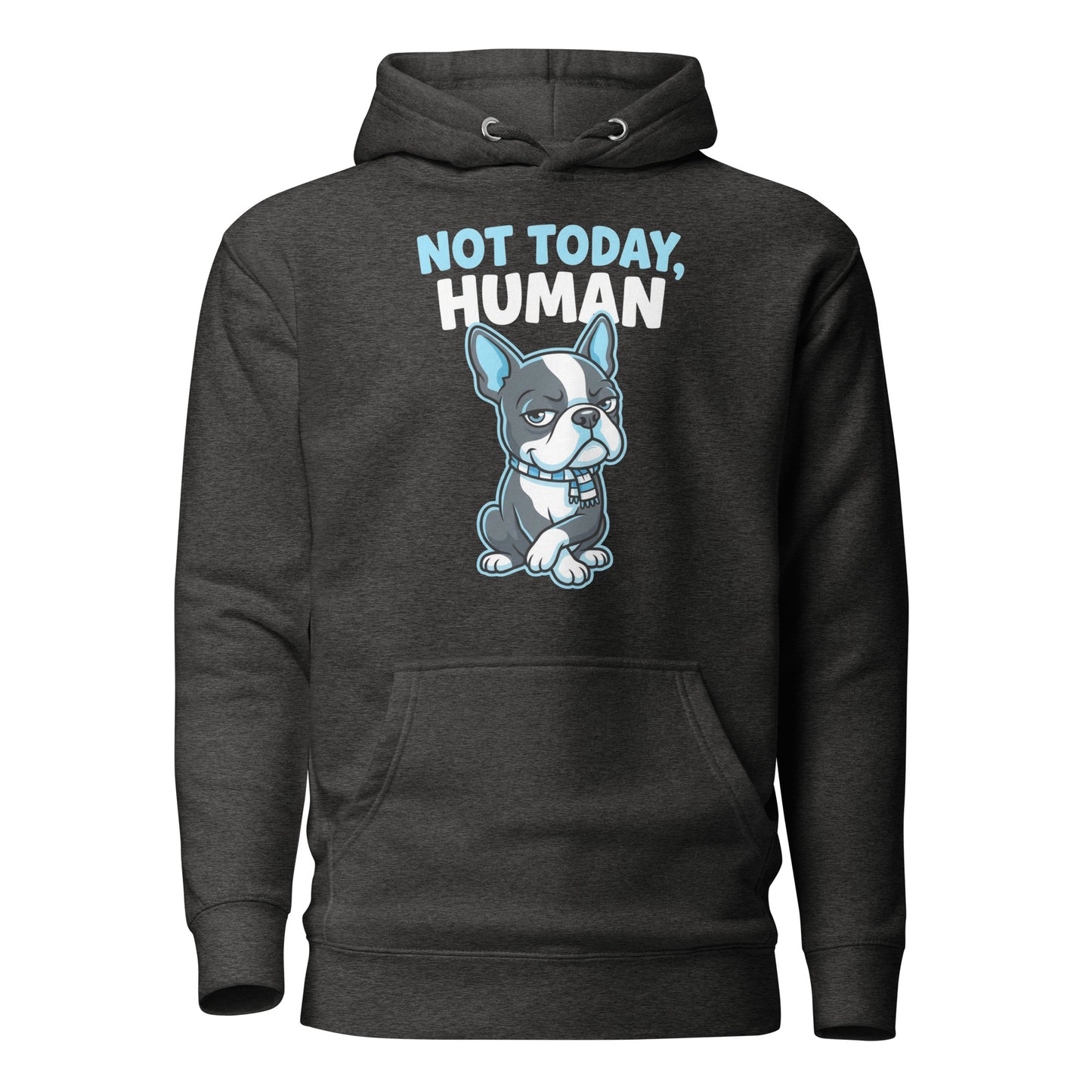 Not Today, Human - Cartoon Boston Terrier Side Eye Unisex Hoodie . Charcoal Heather