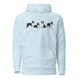 4 Boston Terrier Poses Unisex Hoodie . Sky Blue