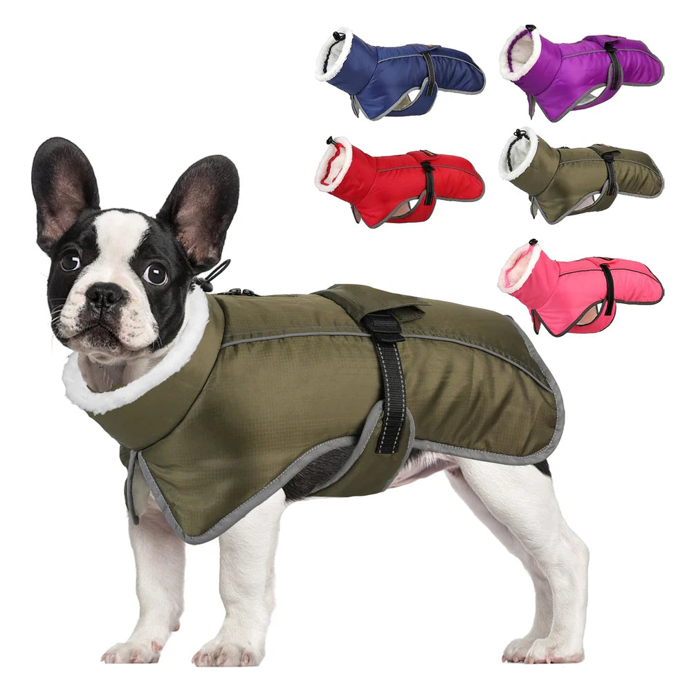 Padded dog coat best sale