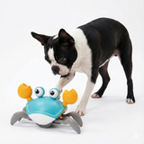Crawling Crab Interactive Dog Toy .