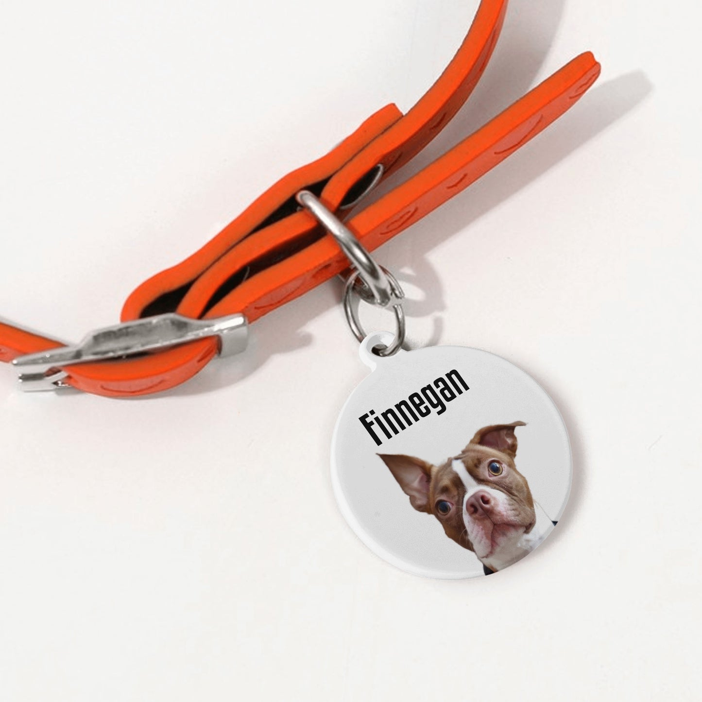 Custom Dog Face & Name Laser Metal Alloy Dog ID Tag
