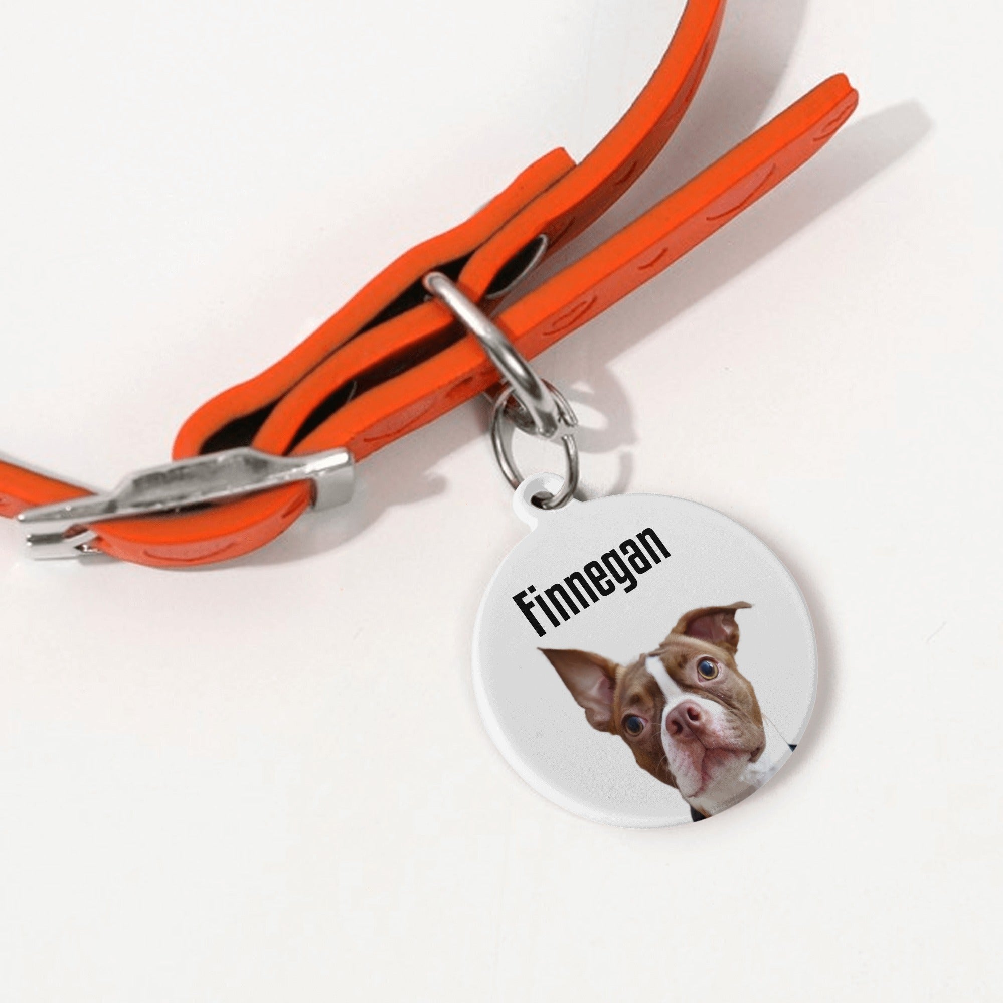 Custom Dog Face & Name Laser Metal Alloy Dog ID Tag
