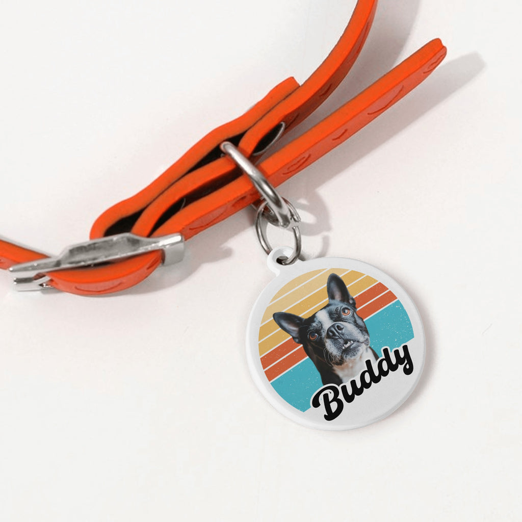 Custom Dog Sunset Vintage Retro Laser Metal Alloy Dog ID Tag