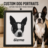 Custom Framed Boston Terrier Dog Portraits .