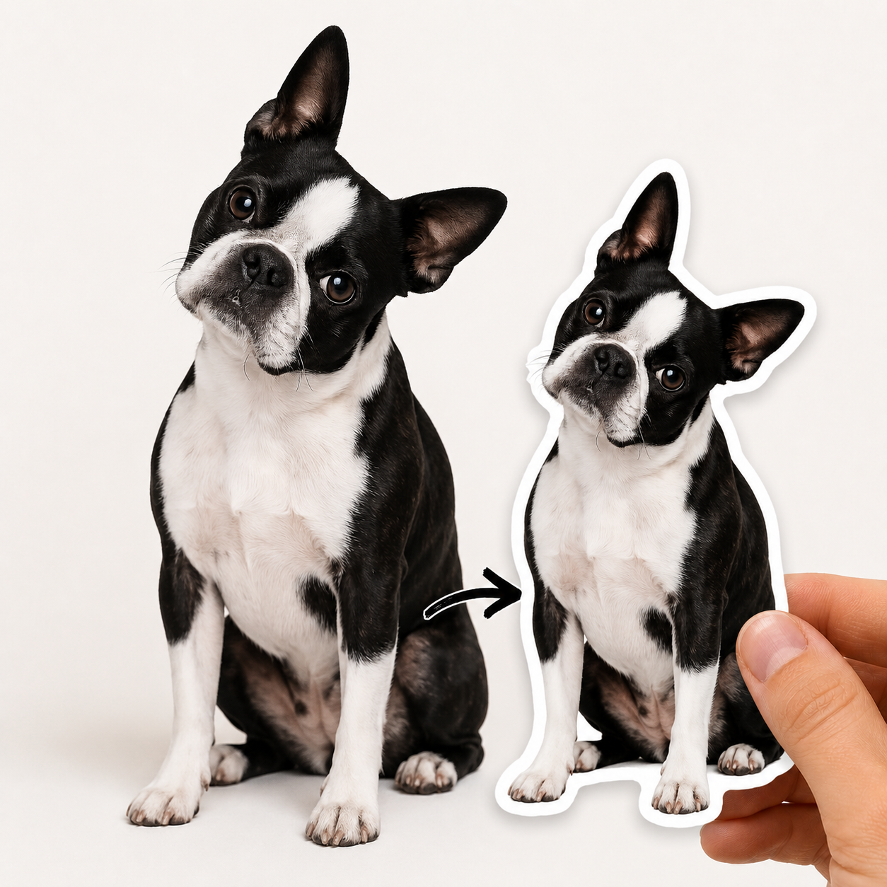 Custom Dog Sticker from Photo | Personalized Pet Sticker | Waterproof Vinyl Dog Decal | Cute Dog Portrait Gift