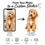 Custom Dog Sticker from Photo | From your photo to a Custom Sticker