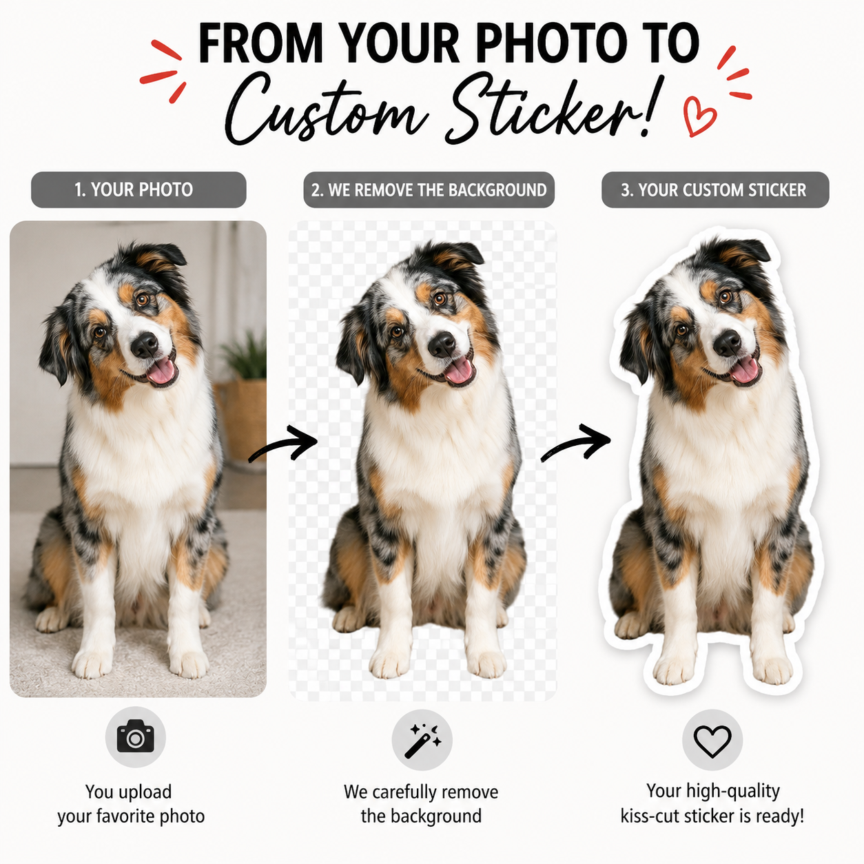 Custom Dog Sticker from Photo | We remove the background
