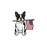 American Flag Boston Terrier Dog Magnet . 4″×4″