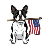 American Flag Boston Terrier Dog Magnet . 6″×6″