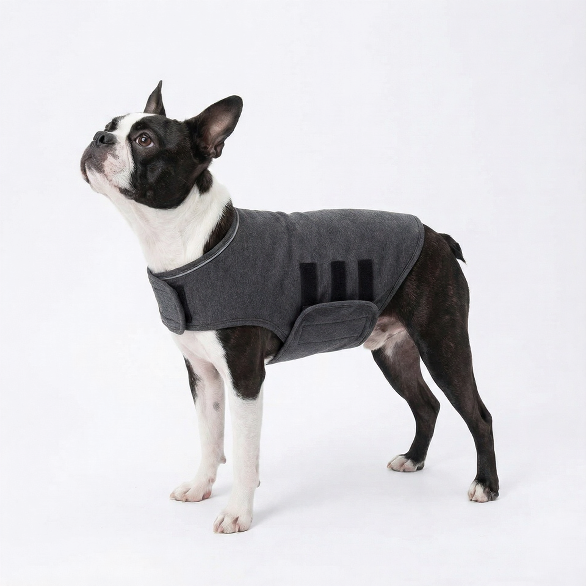 Dog Anti Anxiety Jacket Stress Vest To Calm Down .