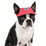 Dog Baseball Cap with Ear Holes .