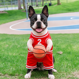 Dog Basketball Player with Ball Costume .