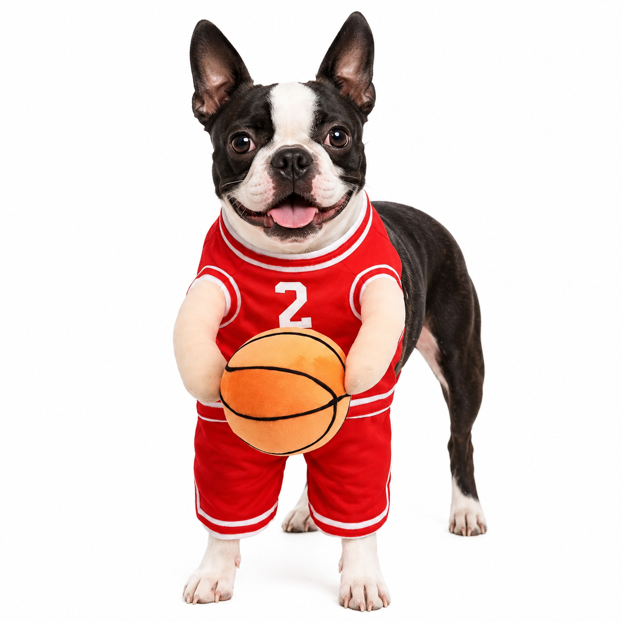 Dog Basketball Player with Ball Costume .
